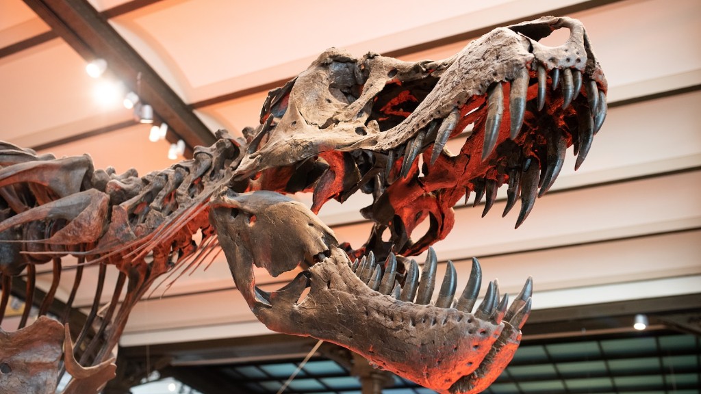 为什么有些动物能够挺过恐龙灭绝